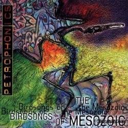 Birdsongs Of The Mesozoic : Petrophonics